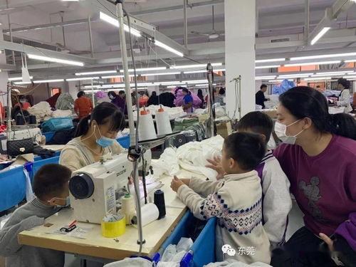 一起走进服装厂 虎门东方明珠幼儿园主题探究活动