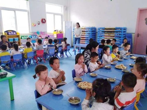 儿子总说幼儿园饭菜好吃,看到老师发的公开照,宝妈表示无法理解