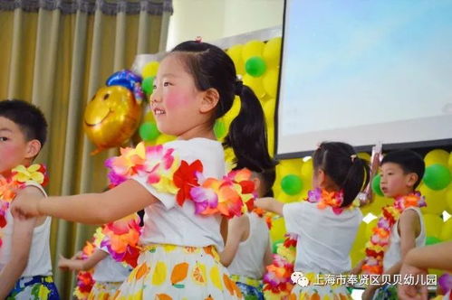 所有的爱,不说再见 贝贝幼儿园诚文化教育之幼儿篇