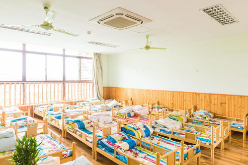 幼儿园28个孩子24个是男孩,生女儿的家庭,没办法坐得住了